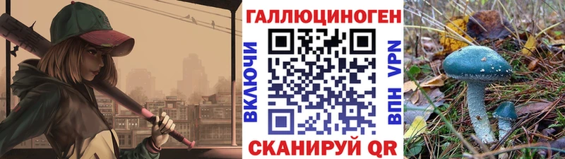 площадка как зайти  купить   Глазов  Псилоцибиновые грибы Psilocybe 